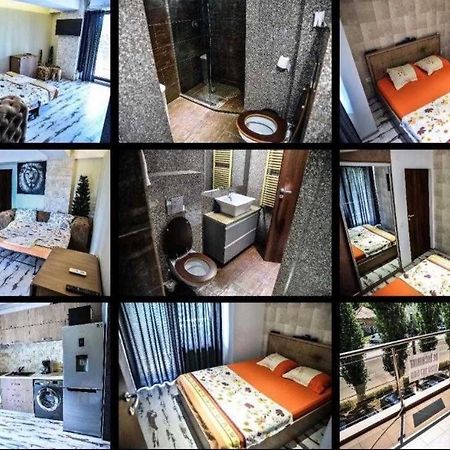 Wild Africa Apartament Mamaia Buitenkant foto