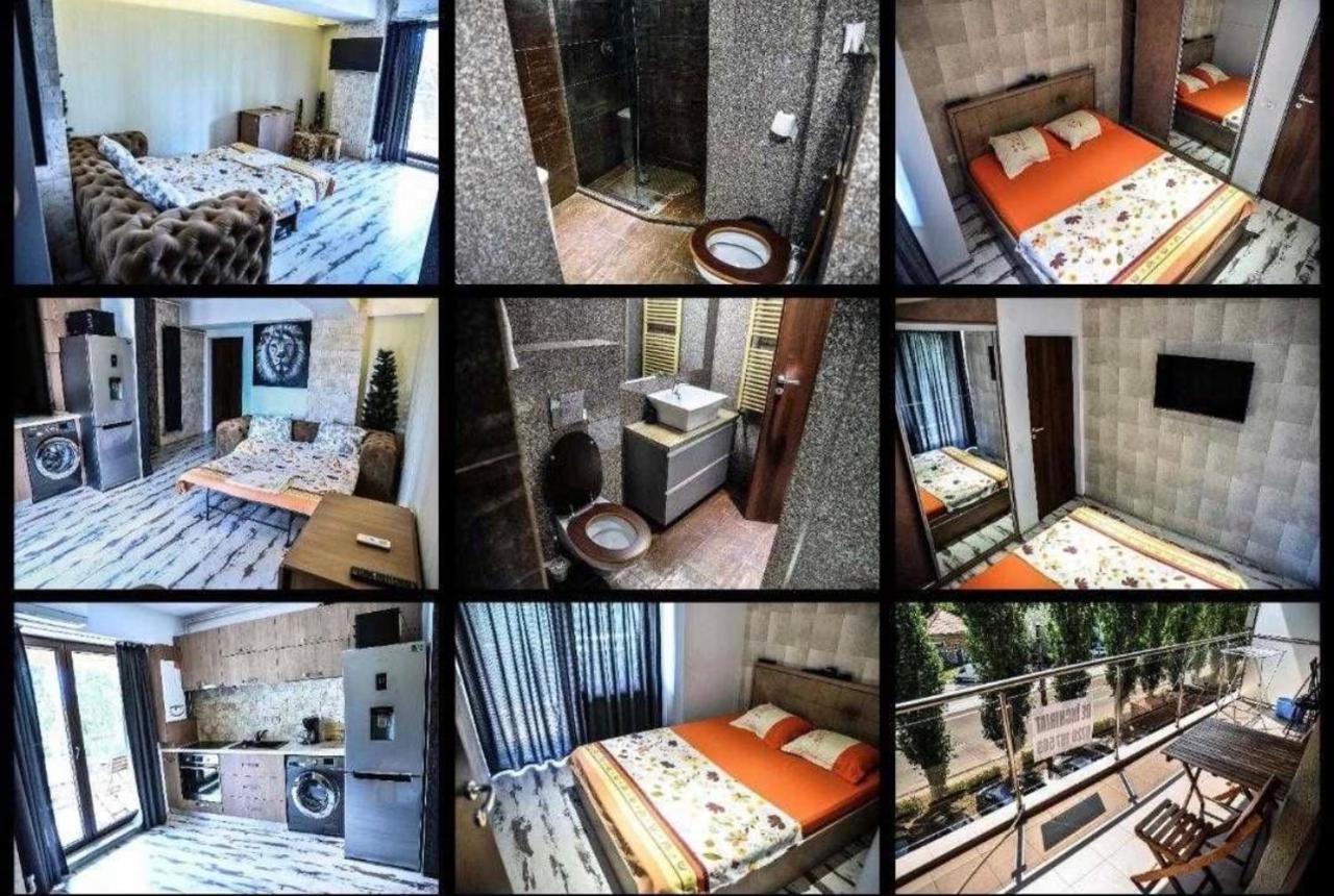Wild Africa Apartament Mamaia Buitenkant foto